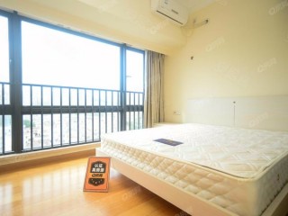 深圳佳兆业再度遭遇失利，球队谨防下滑